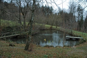 Steinleiten Alm - Abschlusswanderung 2015-7