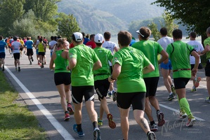 Halbmarathon Wachau 2015-3