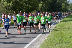 Halbmarathon Wachau 2015-5
