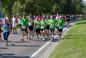 Halbmarathon Wachau 2015-6