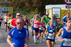 Halbmarathon Wachau 2015-17