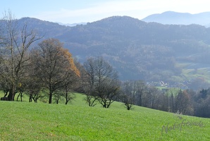 Leopoldiwanderung 2017-5