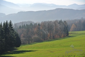 Leopoldiwanderung 2017-8