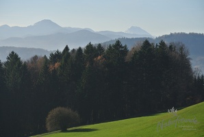 Leopoldiwanderung 2017-9