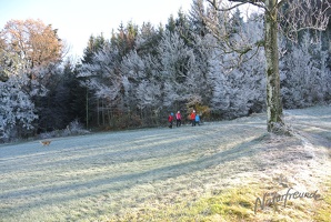 Leopoldiwanderung 2017-12