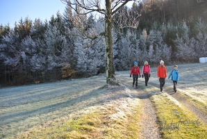 Leopoldiwanderung 2017-13