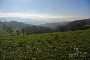 Leopoldiwanderung 2017-16