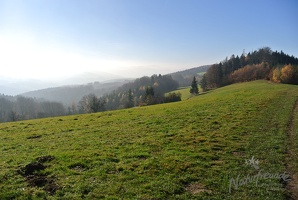 Leopoldiwanderung 2017-17