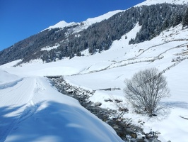 DSCN2221