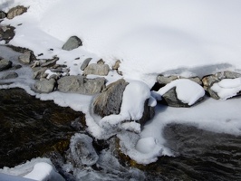 DSCN0006