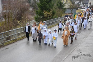 NF-Wilhlemsburg Faschingsumzug2019-3033