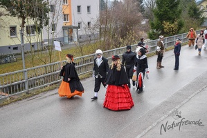 NF-Wilhlemsburg Faschingsumzug2019-3044