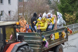NF-Wilhlemsburg Faschingsumzug2019-3051