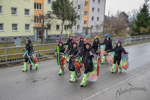 NF-Wilhlemsburg Faschingsumzug2019-3092