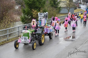 NF-Wilhlemsburg Faschingsumzug2019-3123