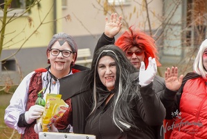 NF-Wilhlemsburg Faschingsumzug2019-3155