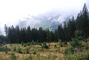 NF-Wanderwoche2022-473