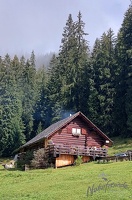 NF-Wanderwoche2022-483