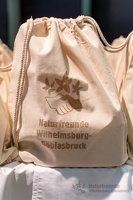 NF GV 003